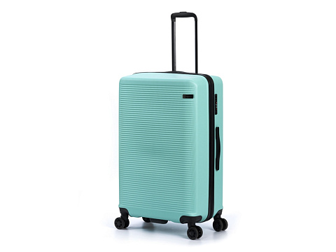 Чемодан TORBER КАСПИЙ, светло-зелёный, ABS-пластик, 49 х 29 х 78 см, 96 л