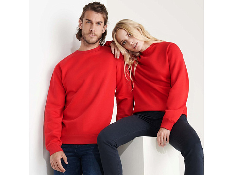 Свитшот Batian, красный - рис 6.