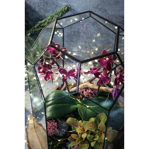 Сад в стекле Архирариум - рис 4.