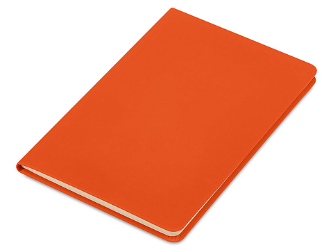 Блокнот в твердой обложке A5 Виспи 2.0 в клетку, оранжевый