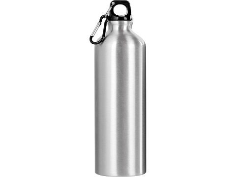 Бутылка Hip M с карабином, 770 мл, серебристый - рис 3.