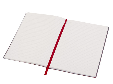 Блокнот А5 Bradbury, гибкая обложка, 80 листов 80 гр/м2 FSC бумага, красный - рис 5.
