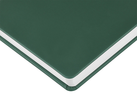 Ежедневник с каменной бумагой недатированный А5 Carrara, зеленый - рис 5.