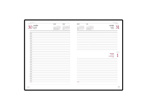 Ежедневник датированный А5 Ideal New 2026, красный - рис 2.