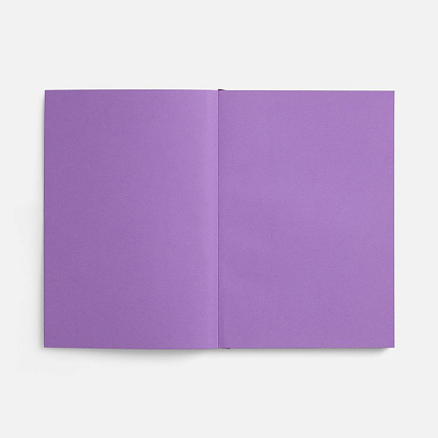 Ежедневник Flat, недатированный, фиолетовый, ver.2 - рис 9.