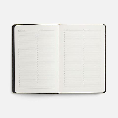 Ежедневник Alanis, недатированный, черный c желтым - рис 9.