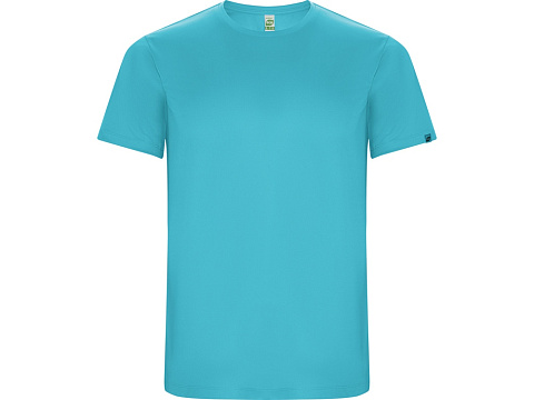 Футболка Imola мужская, бирюзовый