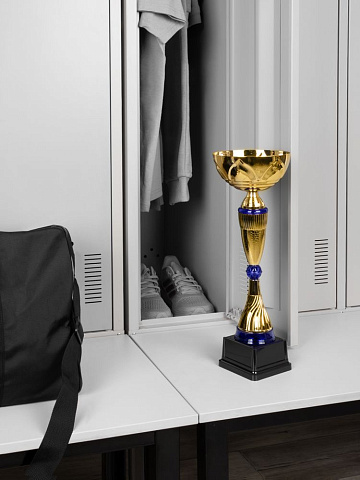 Кубок Awardee, большой, синий - рис 6.