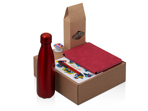 Подарочный набор с термобутылкой, блокнотом, ручкой и чаем, красный