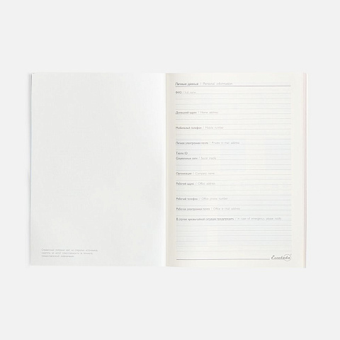 Ежедневник Repute, недатированный, серый - рис 11.