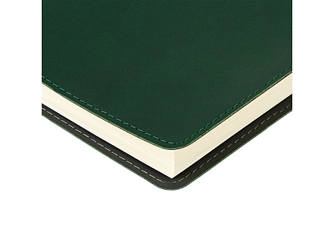 Ежедневник А5 Tintoretto, зеленый - рис 3.