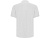 Рубашка поло Centauro Premium мужская, белый - миниатюра - рис 2.
