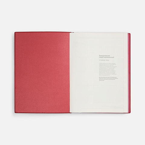 Ежедневник Stitch, недатированный, красный - рис 8.