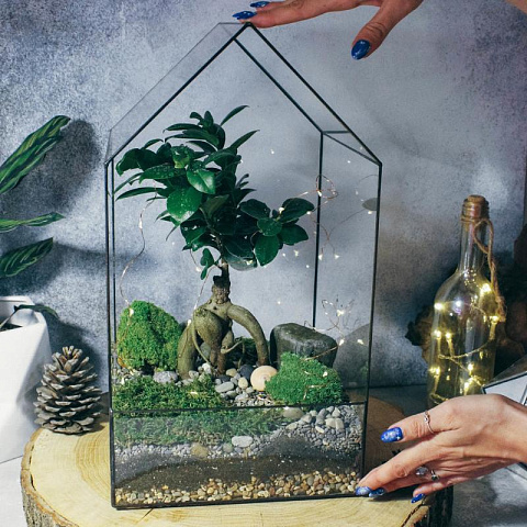 Сад в стекле Домик с бонсай - рис 4.