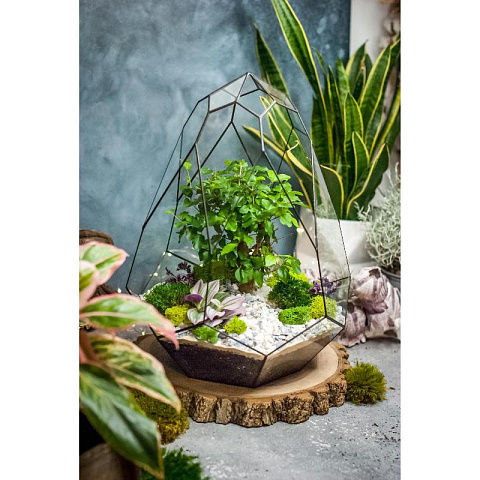 Сад в стекле Гармония природы - рис 8.