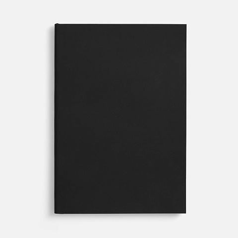 Ежедневник Flat Light, недатированный, черный - рис 2.