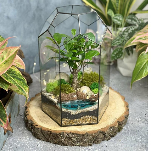 Сад в стекле Тропический Рай - рис 2.