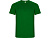 Футболка Imola мужская, папоротниковый - миниатюра