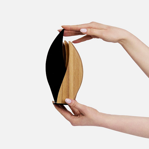 Стела Fame Flame - рис 4.