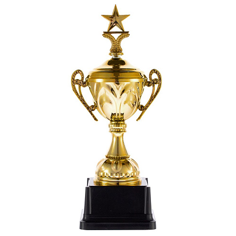 Кубок Top Star, золотистый - рис 2.