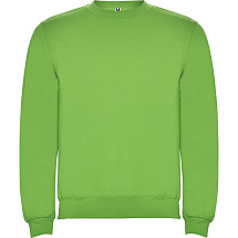 Свитшот с начесом Clasica унисекс, зеленое яблоко