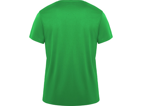 Футболка Daytona мужская, папоротниковый - рис 2.