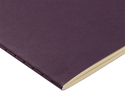 Бизнес тетрадь А5 Pragmatic, 40 листов в клетку, фиолетовый - рис 2.