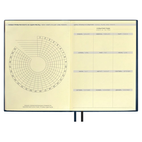 Ежедневник Avila, недатированный, синий - рис 8.