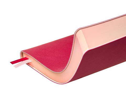 Ежедневник А5 датированный Boston 2027, розовый - рис 6.